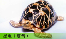  ǹ